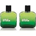 Wild Stone Forest Spice Long Lasting Eau De Parfum Spray For Men, Pack Of 2(100Ml Each)