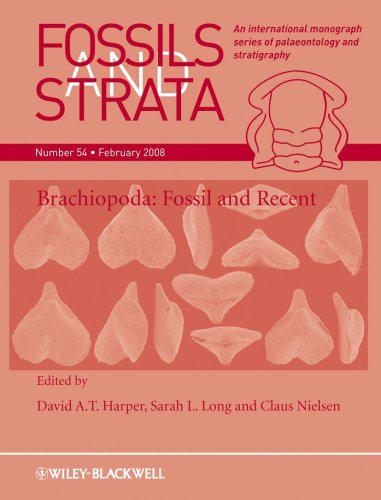 Preisvergleich Produktbild Brachiopoda (Fossils and Strata, Band 54)