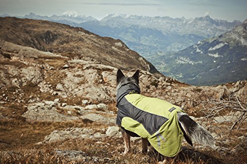 Hurtta-Ultimate-Warmer-Dog-Coat-Raspberry-30cm