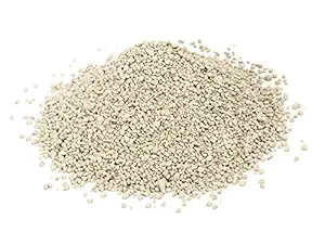 Dog Lovers Fresh Clumping Cat Litter 1 Kg