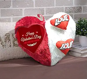 DreamVio Love Heart Shape Valentine Day Gift Fur Cushion,Plush Pillow for Gifting on Birthdays,Anniversaries Color - Red, White (Size- 17x17 inch) Shape 40