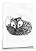 Produktbild 1art1 98749 Füchse - Fox Tail, Sofie Rolfsdotter Poster Leinwandbild Auf Keilrahmen 40 x 30 cm