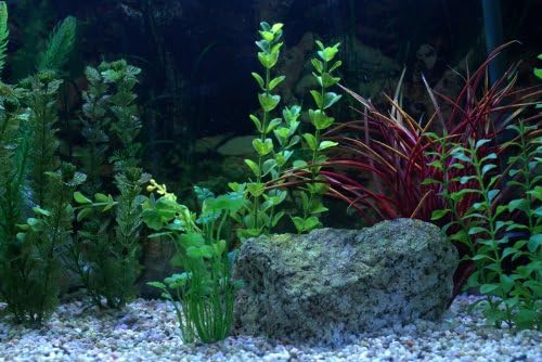 LED Aquarium Strip Lighting Set in White ** Fully Waterproof KIT Ideal for Transforming Aquariums, Fish Tanks, Ponds…