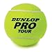 Produktbild Dunlop 602200 - Volley Tennisball Koker