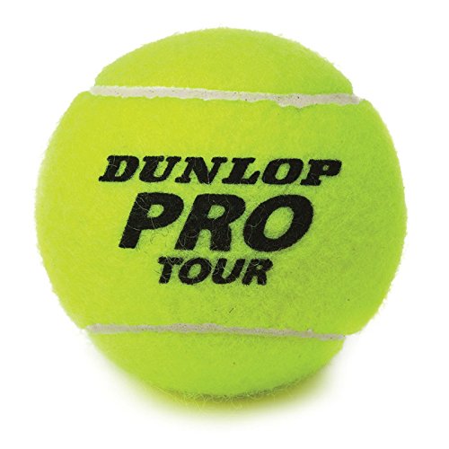 Preisvergleich Produktbild Dunlop 602200 - Volley Tennisball Koker