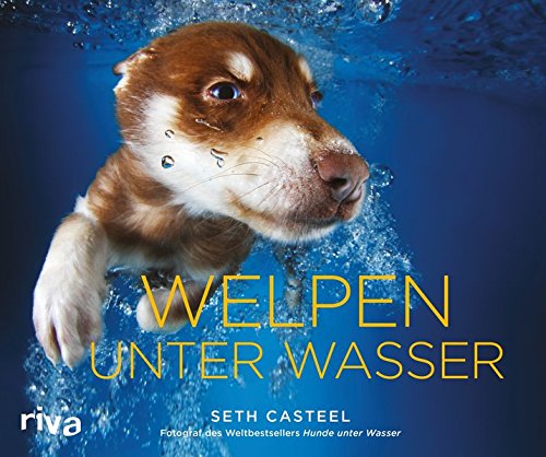 Download Welpen unter Wasser