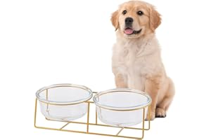 HCHLQLZ Bebedero y Comedero Perro Elevado - Doble Cuenco Perro Vaso con Soporte de Metal - Comedero Gato Alto Antivomito - Bol de Comida y Agua para Perros Pequeños y Medianos y Gatos Grandes - 2 x 800 ml