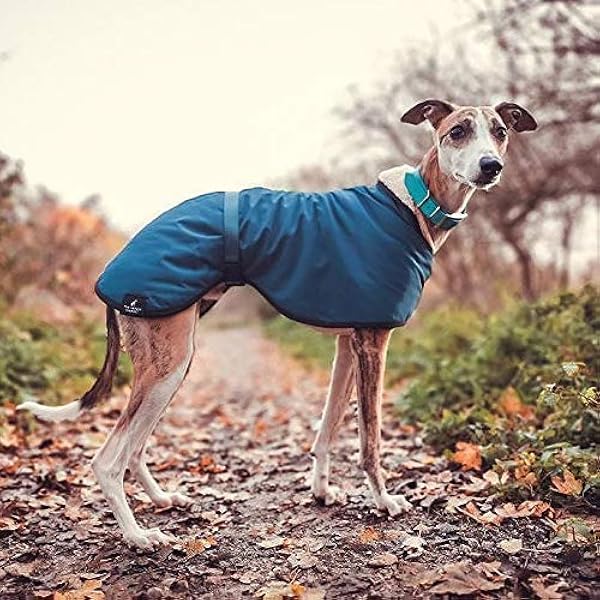 whippet fleece