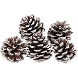 Empacar 9pcs Pinas Chucherias Partido arbol De Navidad Decoraciones Colgantes