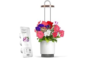 CLICK AND GROW Mini Smart Planter Kit with Petunia Plant Pods by Click&Grow, Hydrovase Indoor Garden, Self-Watering Pot with Grow Light (White)