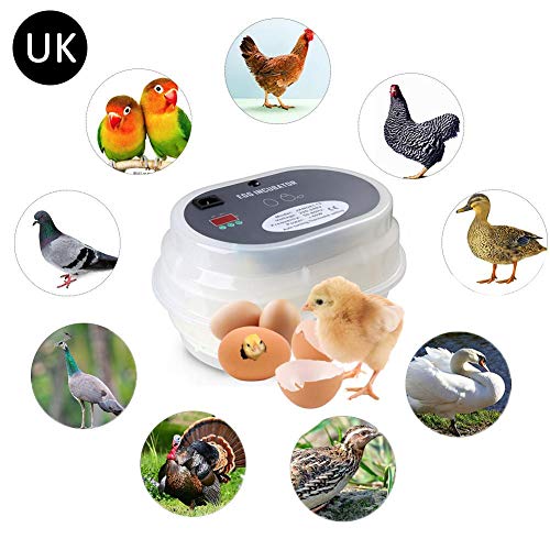 Wovemster Chick Incubator Digital Automatic Temperature Control And Humidity Hatching Chicken Ducklings Poultry Birds,Hatcher Eggs IncubatorsTemperature Control 220V Home Use Hatcher