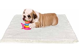 Ostlttyn Dog Bed Washable 76x54 cm Dog Crate Mattress for Small Dogs Waterproof Ultra Soft Orthopedic Puppy Beds Mat with Anti-Slip Bottom