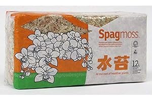 Portal Cool Nuova Zelanda Sphagnum Orchid Moss 150 grammi (12 litri)