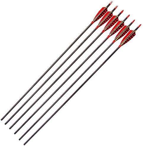 MS Jumpper Archery Carbon Arrows Hunting Arrows Spine 340 With Real Feathers For Compound Bow Longbow (Pack of 6) (30 inch)