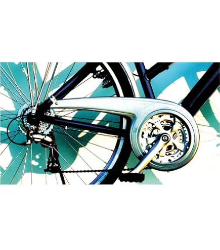 damen e bike gebraucht Jobobike Linda | E Bike Damen