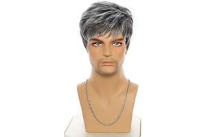 AIYLMZ Krótkie szare proste peruki syntetyczne dla młodych mężczyzn z grzywką włosy Toupet dla mężczyzn Naturalne eleganckie puszyste warstwowe peruki męskie Treski (mieszane szare)