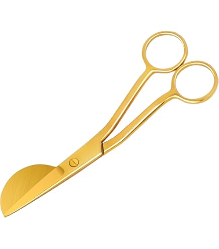 Set D'instruments Chirurgicaux Ophtalmiques En Titane (5 Pièces) - Porte-aiguille, Ciseaux, Plateau Stérilisation