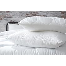 Abeil Oreiller 60x60 Cm Lot De 2 - Coton Bio, Doux Et Écologique Certifié Oeko-Tex