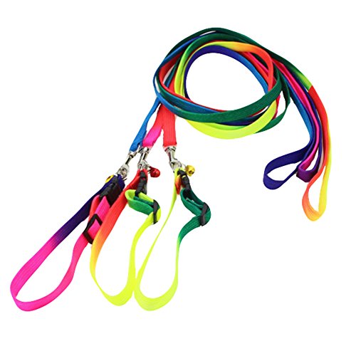 DaWa-1-Pcs-12m-Durable-Pet-Dog-Nylon-Adjustable-Loop-Training-Leash-Slip-Lead-Traction-Rope-Dog-Chain-Belt-Pet-Dog-SuppliesColorful