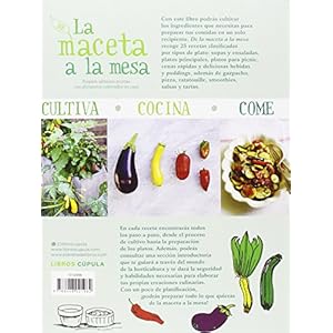 De la maceta a la mesa: Prepara sabrosas recetas con alimentos cultivados en casa