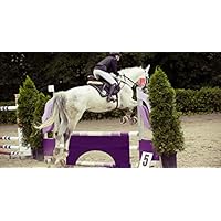 Parcours Hindernis Jumpy