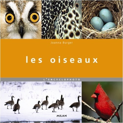 couverture de : Les oiseaux