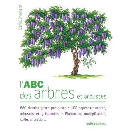 L'Abc des arbres et arbustes L'Abc des arbres et arbustes