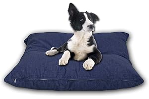 Cieffepi Home Collections FIDO Coussin déhoussable pour chiens, chats et animaux domestiques en différentes couleurs et tailles (100 x 100 x 25 cm, bleu)