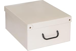 Lavatelli, Scatola Organizer Armadio in Cartone con Coperchio, per Vestiti, Biancheria, Cambio Stagione, con Maniglie, Robusta e Decorativa, Portaoggetti Beige, elegante 32x42x17,5 cm, misura Media