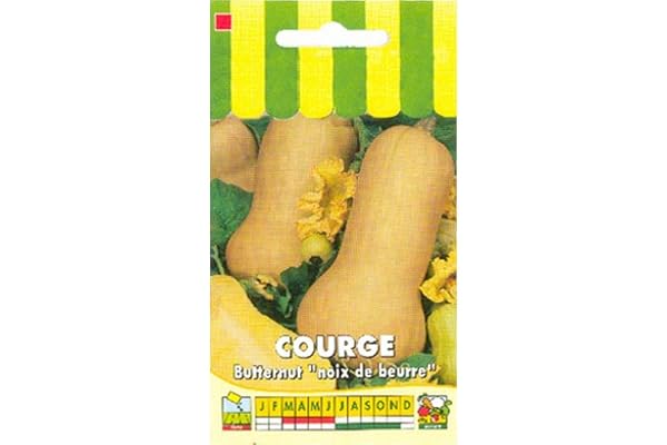 Sachet de graines de Courge Butternut "Noix de beurre" - 3 g - légume fruit - LES GRAINES BOCQUET