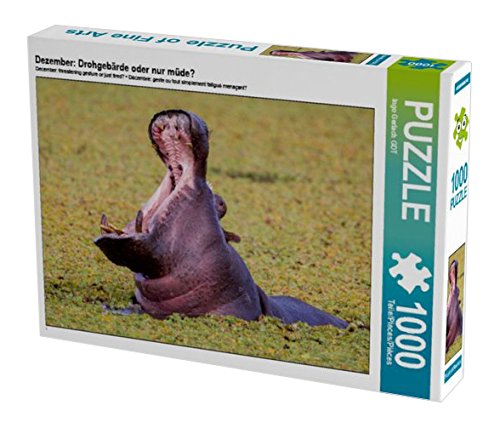 Dezember: Drohgebärde oder nur müde? 1000 Teile Puzzle quer (CALVENDO Tiere)