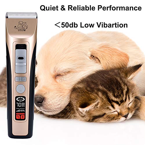 Tondeuse-Chien-Chat-5-Vitesses-Tondeuse-pour-Chien-Professionnelsla-Faible-Bruit-sans-Fil-Un-cran-LCD-Ultra-Haute-Dfinition-lectrique-Tondeuses-de-Toilettage-Animaux-pour-Chiens-Chats
