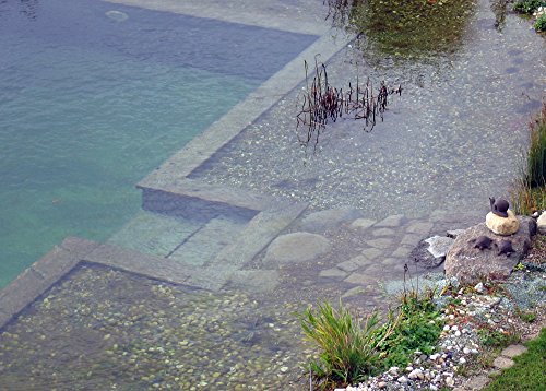 5 Liter Aqua Ceral Milchsäurebakterien, probiotische Filterbakterien, Starterbakterien, Koi, Teich - 3