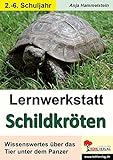 Lernwerkstatt Schildkröten: Wissenswertes über das Tier unter dem Panzer by 