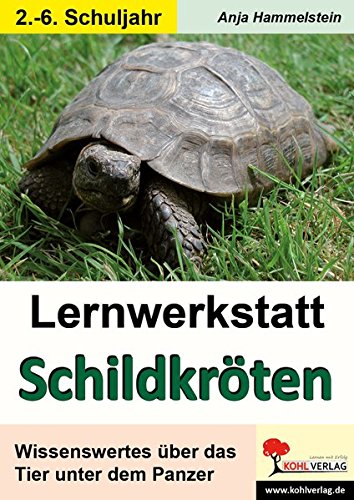 Lernwerkstatt Schildkröten: Wissenswertes über das Tier unter dem Panzer