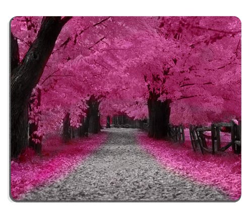 Neon Pink Cherry Blossom Trail Japan Mouse Pads Customized Made to Order Support Ready 9 7/8 Inch (250mm) X 7 7/8 Inch (200mm) X 1/16 Inch (2mm) High Quality Eco Friendly Cloth with Neoprene Rubber MSD Mouse Pad Desktop Mousepad Laptop Mousepads Comfortable Computer Mouse Mat Cute Gaming Mouse_pad