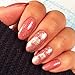 Bundle Monster 10pc Holiday Themed Nail Art Stamping Plates - Occasions Collection, Christmas + NYE