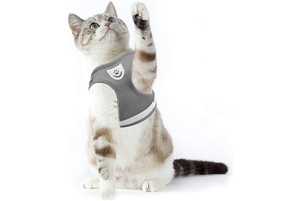 Supet Harnais pour Chat Harnais pour Chiot Anti-évasion Harnais de Lapin Doux avec Laisse pour Chaton, Chiens, Chihuahua M (Tour Poitrine:33-38 cm)