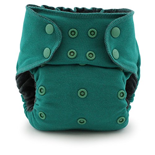 Kanga Care Ecoposh OBV Fitted Cloth Diaper (One Size, Atlantis)