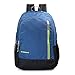 Aristocrat Blue Casual Backpack (LPBPPEP3BLU) RS.760.00