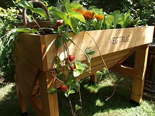 VegTrug Pflanztrog aus Holz, 1 m breit – kleine Ausführung - 3
