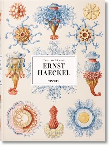 Download XL-Haeckel Download XL-Haeckel