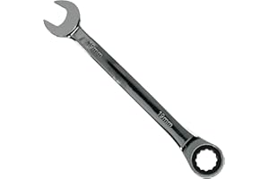Seshin Buffalo 19mm Ratchet Spanner Steel Fixed Head Gear Wrench Open End & Ring (19mm)
