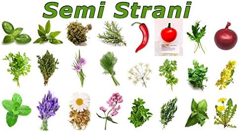 AROMATIC HERBS 480 Seeds in 24 Varieties, THE COMPLETE COLLECTION: BASIL GENOVESE, SAGE, ITALIAN OREGANO, ROSEMARY, PARSLEY, THYME, CHIVES, WILD FENNEL, MINT, LAVANDER, CHAMOMILLE, VALERIAN, HOT CHILI PEPPER CAYENNE RED, HOT CHILI PEPPER ROUND INFILL RED, COLTIVATED ROCKET, ONION RED ROUND FROM TROPEA, ANISE, CORIANDER, MARJORAM, WHITE MUSTARD, CRESS, TARAGON, LEMON BALM, DANDELION - 20 Seeds per each Variety