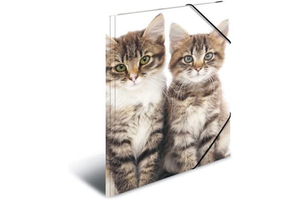HERMA Chemises à élastique Animaux Chats A4, Polypropylène, avec impression intérieure, chemise plastique avec rabat