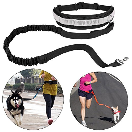 Nylon Pet Cat Chien Courant Laisse Rembourré Réglable Taille Avec Bande Réfléchissante Laisse Élastique Zipper Sac Porte-Bouteille Clés Sac (Noir)