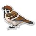 Produktbild 2 x 10cm/100mm Kleine braune Vogel Vinyl SELBSTKLEBENDE STICKER Aufkleber Laptop reisen Gepäckwagen iPad Zeichen Spaß #5841