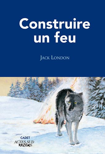 couverture de : Construire un feu