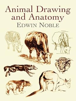Animal Drawing And Anatomy Dover Art Instruction Ebook