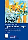 Organisationale Energie: Wie Sie das Potenzial Ihres Unternehmens ausschöpfen (uniscope. Die SGO-Stiftung für praxisnahe Managementforschung) by 